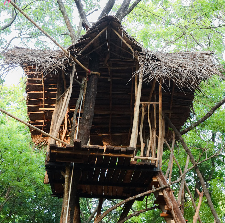 TREEHOUSE LOFT
